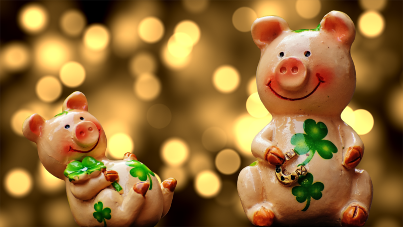 happiness, piggy, lucky pig, cute, lucky charm, sow, nature, sylvester, new year's day, greeting card, piglet, pigs, fun, animals, piggy, lucky pig, lucky pig, lucky pig, lucky pig, lucky pig, lucky charm, lucky charm, lucky charm, piglet, piglet, piglet, piglet, piglet, animals